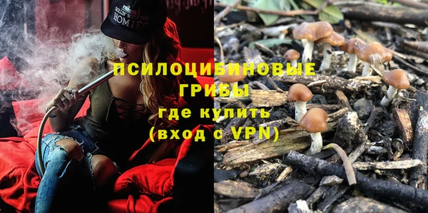 кокаин премиум Дмитриев